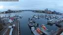 ./images/victoria/wharf/20251119/wharf20251119_163001M.jpg