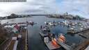 ./images/victoria/wharf/20251124/wharf20251124_124001M.jpg