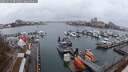 ./images/victoria/wharf/20251125/wharf20251125_081501M.jpg