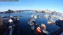 ./images/victoria/wharf/20251128/wharf20251128_094001M.jpg