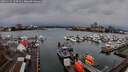 ./images/victoria/wharf/20251222/wharf20251222_150501M.jpg
