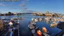 ./images/victoria/wharf/20251227/wharf20251227_095501M.jpg