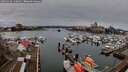 ./images/victoria/wharf/20251228/wharf20251228_130001M.jpg
