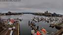 ./images/victoria/wharf/20251228/wharf20251228_150501M.jpg