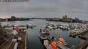 ./images/victoria/wharf/20251230/wharf20251230_120002M.jpg