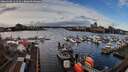 ./images/victoria/wharf/20260108/wharf20260108_121501M.jpg