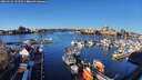 ./images/victoria/wharf/20260116/wharf20260116_101501M.jpg