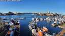 ./images/victoria/wharf/20260117/wharf20260117_113001M.jpg
