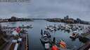 ./images/victoria/wharf/20260130/wharf20260130_165001M.jpg