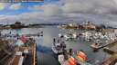 ./images/victoria/wharf/20260210/wharf20260210_121502M.jpg