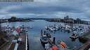./images/victoria/wharf/20260212/wharf20260212_172002M.jpg