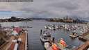 ./images/victoria/wharf/20260225/wharf20260225_121501M.jpg