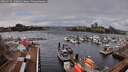 ./images/victoria/wharf/20260225/wharf20260225_130001M.jpg