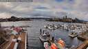./images/victoria/wharf/20260225/wharf20260225_131001M.jpg