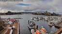 ./images/victoria/wharf/20260225/wharf20260225_131501M.jpg