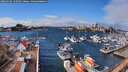 ./images/victoria/wharf/20260226/wharf20260226_120501M.jpg
