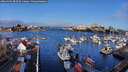 ./images/victoria/wharf/20260305/wharf20260305_083502M.jpg