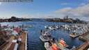 ./images/victoria/wharf/20260305/wharf20260305_135501M.jpg