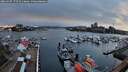 ./images/victoria/wharf/20260307/wharf20260307_172501M.jpg