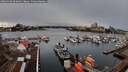./images/victoria/wharf/20260310/wharf20260310_093001M.jpg