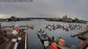 ./images/victoria/wharf/20260310/wharf20260310_093501M.jpg