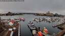 ./images/victoria/wharf/20260310/wharf20260310_094502M.jpg