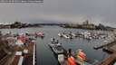 ./images/victoria/wharf/20260310/wharf20260310_095002M.jpg