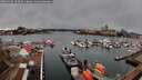 ./images/victoria/wharf/20260310/wharf20260310_100501M.jpg