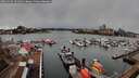 ./images/victoria/wharf/20260310/wharf20260310_101001M.jpg