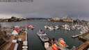 ./images/victoria/wharf/20260310/wharf20260310_111001M.jpg