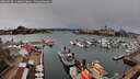 ./images/victoria/wharf/20260310/wharf20260310_113001M.jpg
