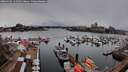 ./images/victoria/wharf/20260310/wharf20260310_124501M.jpg
