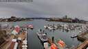 ./images/victoria/wharf/20260310/wharf20260310_134502M.jpg