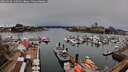 ./images/victoria/wharf/20260310/wharf20260310_140501M.jpg