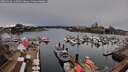 ./images/victoria/wharf/20260310/wharf20260310_143501M.jpg