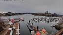 ./images/victoria/wharf/20260310/wharf20260310_150501M.jpg