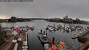 ./images/victoria/wharf/20260310/wharf20260310_154001M.jpg