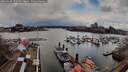 ./images/victoria/wharf/20260310/wharf20260310_171501M.jpg