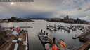 ./images/victoria/wharf/20260310/wharf20260310_172002M.jpg