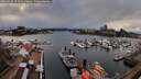 ./images/victoria/wharf/20260310/wharf20260310_173501M.jpg
