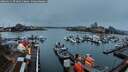 ./images/victoria/wharf/20260311/wharf20260311_074002M.jpg