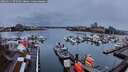 ./images/victoria/wharf/20260311/wharf20260311_075501M.jpg