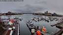./images/victoria/wharf/20260311/wharf20260311_080501M.jpg