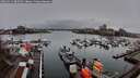 ./images/victoria/wharf/20260311/wharf20260311_082501M.jpg