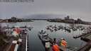 ./images/victoria/wharf/20260311/wharf20260311_083001M.jpg