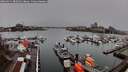 ./images/victoria/wharf/20260311/wharf20260311_085002M.jpg
