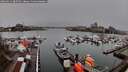 ./images/victoria/wharf/20260311/wharf20260311_085501M.jpg
