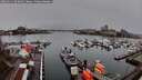 ./images/victoria/wharf/20260311/wharf20260311_090001M.jpg