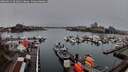 ./images/victoria/wharf/20260311/wharf20260311_091001M.jpg