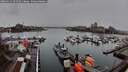./images/victoria/wharf/20260311/wharf20260311_091501M.jpg